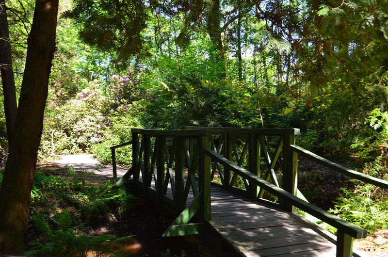 Arboretum Lipno 1 arboretum lipno 04