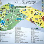 ZOO Opole
