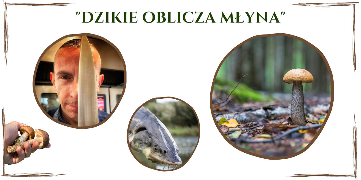 Kolacja degustacyjna dzikie oblicza młyna
